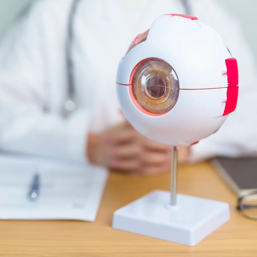 Refractive Errors- The Most Common Culprit