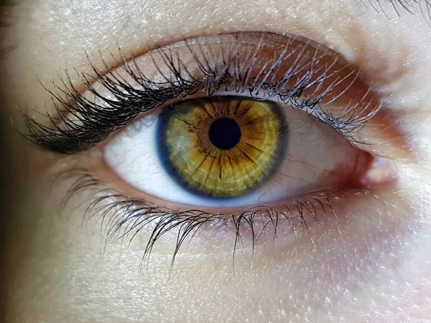 5 Warning Signs Your Eyes Give About Your Overall Health